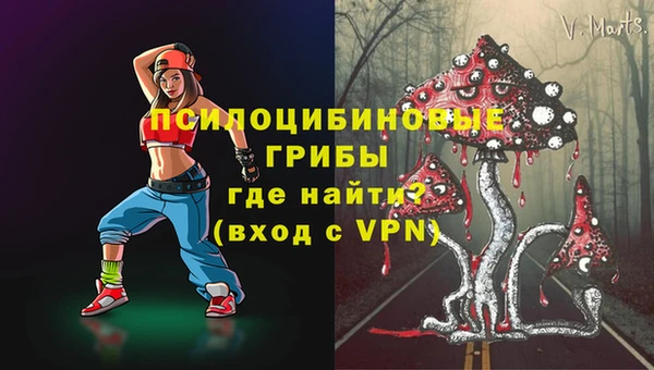 дурь Михайлов